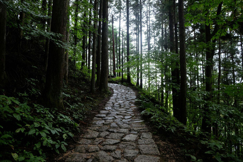 1-Day Tour from Nagoya: Hiking the Historic Nakasendo Trail