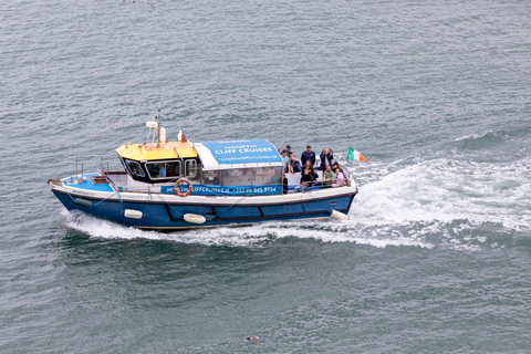 Dublin: Howth Lighthouse and Cliffs Boat TourDublin: Howth Cliffs and Ireland&#039;s Eye Coastal Boat Tour