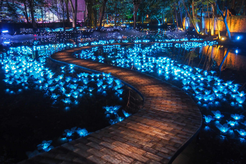 The Lens: Once-a-Year Light Festival Journey Light Festival at Na Satta Park: Magical Once-a-Year Moment