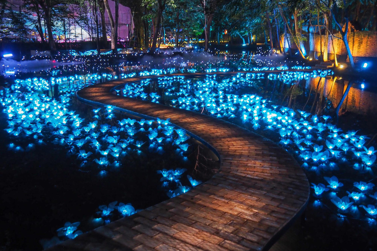 The Lens: Once-a-Year Light Festival Journey Light Festival at Na Satta Park: Magical Once-a-Year Moment