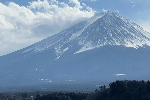 Mount Fuji Full-Day Private Tour from Tokyo (Customizable) Sedan (1-3)