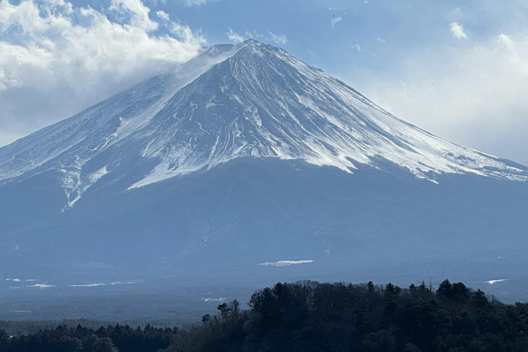 Mount Fuji Full-Day Private Tour from Tokyo (Customizable) Luxury Toyota Crown or SAI
