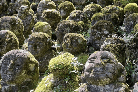 From Tokyo: Nagano Private Day Trip with Zenko-ji Temple