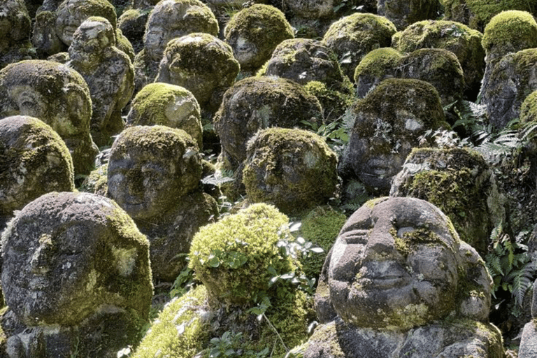 From Tokyo: Nagano Private Day Trip with Zenko-ji Temple