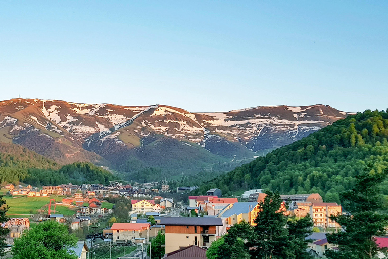 Borjomi Bakuriani Day Group Tour Without Guide