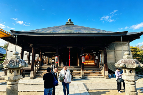 Osaka: Amanohashidate, Ine Cruise & Miyama Village From Osaka (Basic Package)