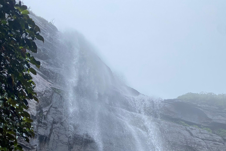 Colombo: 5-Day Sri Lanka Cultural Tour with Transfers