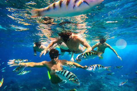 Nusa Penida: Snorkeling Adventure 3-Spots with Manta Rays Nusa Penida: Snorkeling Manta Point 3-Spots with Manta Rays