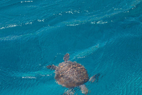 Ayia Napa: Harmony - Morning or Sunset Cruise with Swim Stop