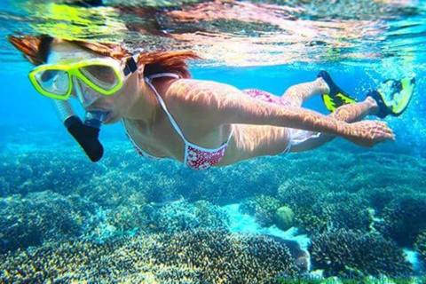 Hoi An: Excursão subaquática com snorkel e a pé pela Ilha ChamExcursão a pé pela ilha de Cham sob a água