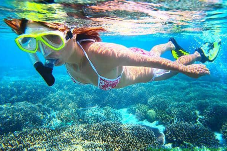 Hoi An: Excursão subaquática com snorkel e a pé pela Ilha ChamExcursão a pé pela ilha de Cham sob a água