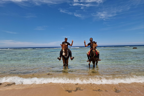 Makadi Bay: ATV, Horse, and Camel Ride Tour