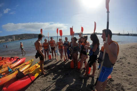 Tenerife: Kayak con Snorkel , descubre tortugas y delfines Tenerife: Kayak & Snorkel con tortugas y delfines