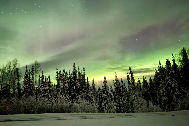 Fairbanks: Arctic Circle Tour with Northern Lights Hunt
