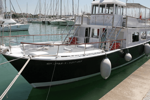 Majorka: rejs po Palma City z kultowymi zabytkamiMajorka: Rejs po Palma z widokiem na kultowe zabytki