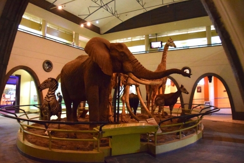 Jednodniowa wycieczka z przewodnikiem po Muzeum Narodowym Nairobi i Parku Węży
