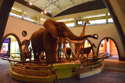 Nairobi Guided City Tour with Nairobi National Museum Entry