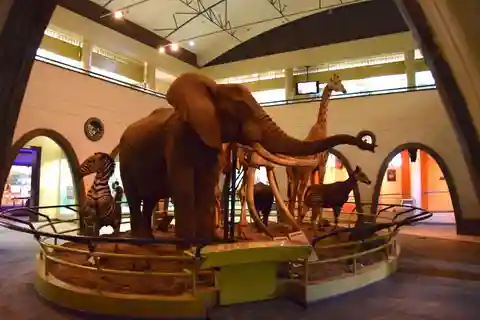 Tour guidato della città di Nairobi con ingresso al Museo nazionale di Nairobi