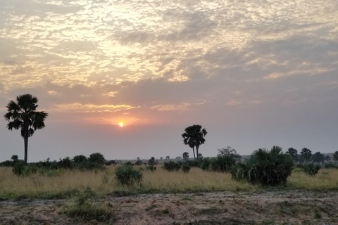 Uganda: 10-dagars safariäventyr från Entebbe