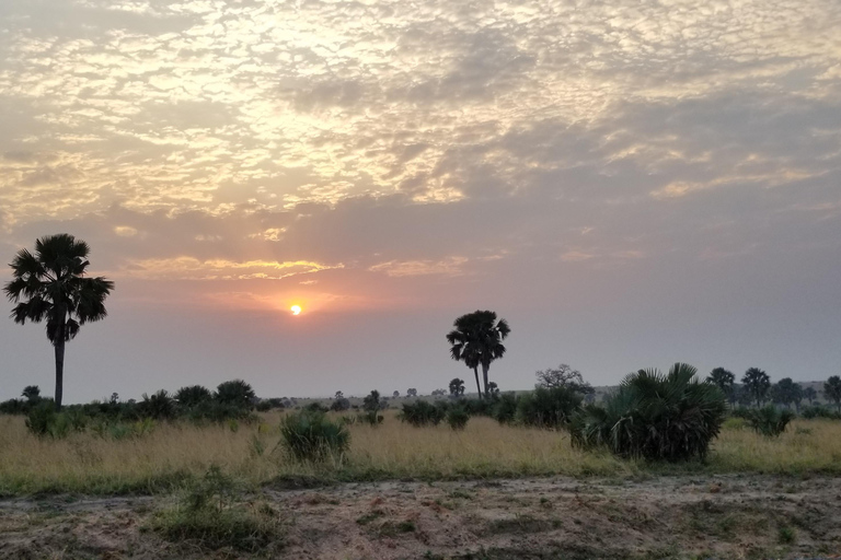 Uganda: 10-dagars safariäventyr från Entebbe