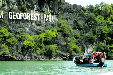 Langkawi: Mangroven-Touren mit Optionen