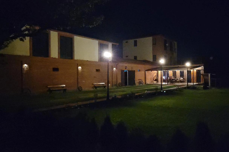 Dzegvi/Tbilisi: Winery Tour with Wine Tasting and Lunch