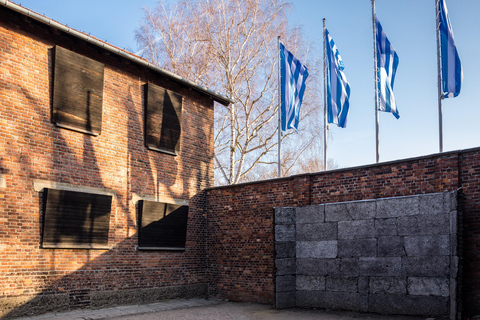 De Cracóvia: Auschwitz-Birkenau - Tour guiado e opções de serviço de buscaTour em alemão com serviço de busca no hotel