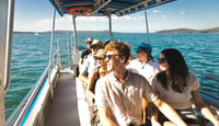 Visite côtière en bateau depuis le lac Macquarie - Housity