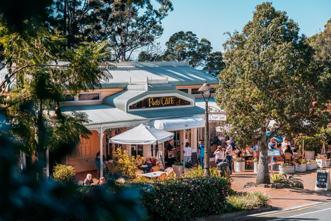 Brisbane to Sunshine Coast Hinterland Private Group Tour Mini Bus - 11 guests