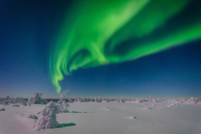 Rovaniemi : Visite en petit groupe pour la photographie de la garantie des aurores boréales