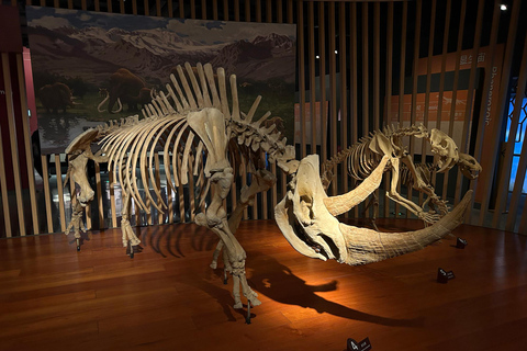 Shanghai Natural History Museum Admission Ticket