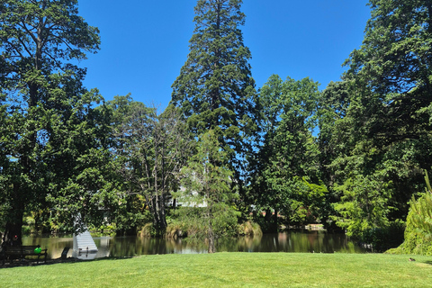 Christchurch Private Scenic Highlights Tour with Local Guide