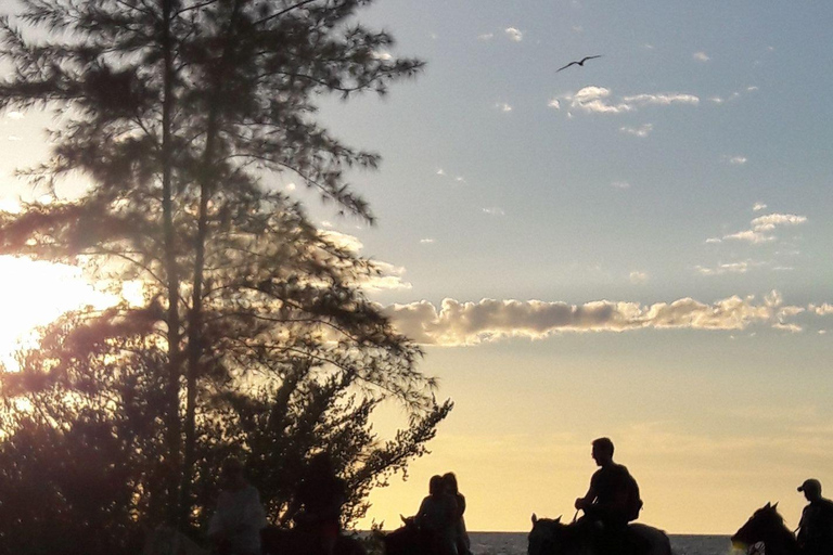 Sunset Horseback Adventure in Holbox