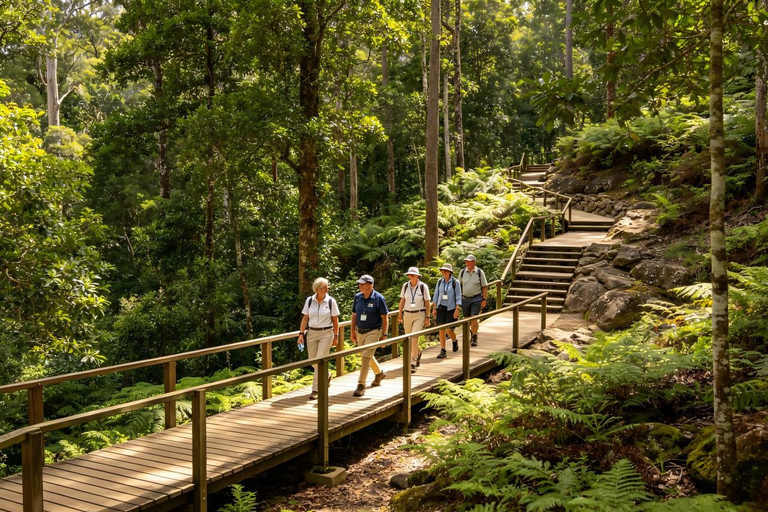 Brisbane: Mount Coot-tha Lookout and Botanic Gardens Tour