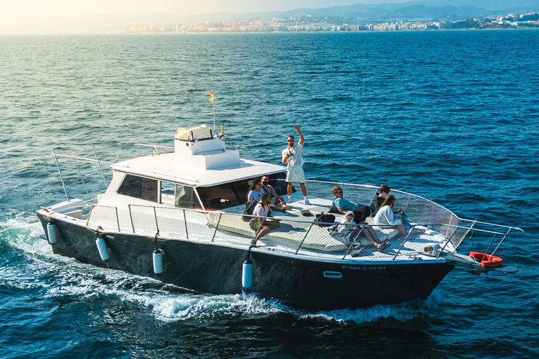 Estepona: Dolphins Searching Sea Cruise with Drink & Snacks Group Cruise