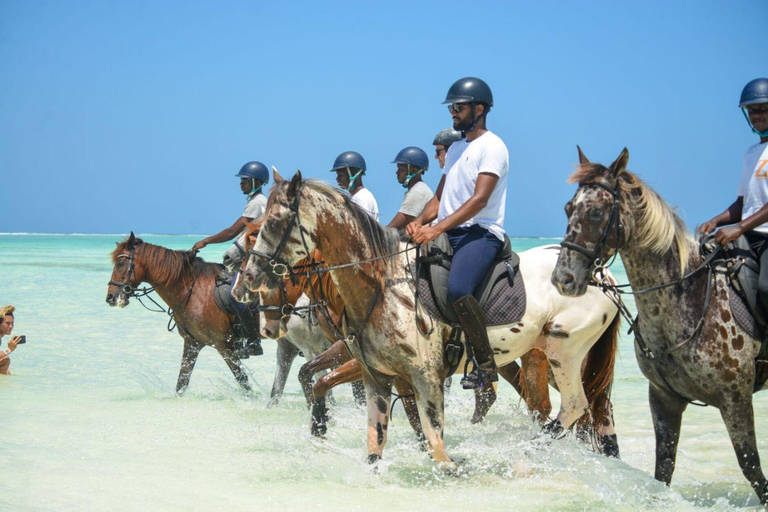 Zanzibar: Half-Day Horseback Riding Adventure with Pickup