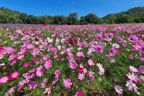 Khao Yai: Private Custom Tour with Driver From Bangkok Premium Car 1 Day (Group of 3)