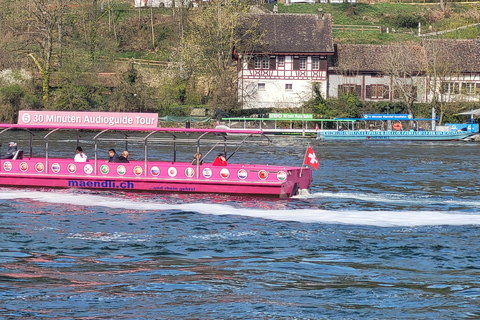 Zurich: Old Town and Rhine Falls Private Tour with Boat Special Offer