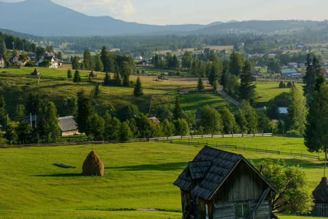 From Bucharest: 7-Day Guided Tour of Romania