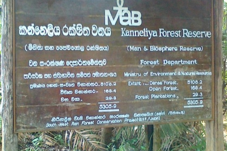 "Découverte de la forêt de Kanneliya : Expédition guidée dans la nature"