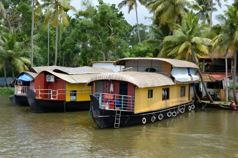 Visita de un día a Alleppey en casa-barco desde Cochin
