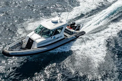 San Diego: Schnorchel-Safari vor der Küste mit Guide
