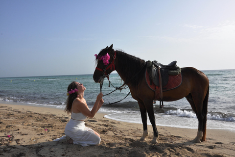 DJERBA : Paardrijden (2u).