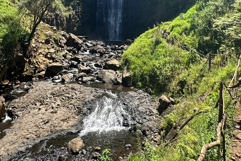 Moshi/Arusha: Chemka Hot Springs Materuni Waterfall Day tour 2 in 1 : Materuni & Chemka tour from Moshi