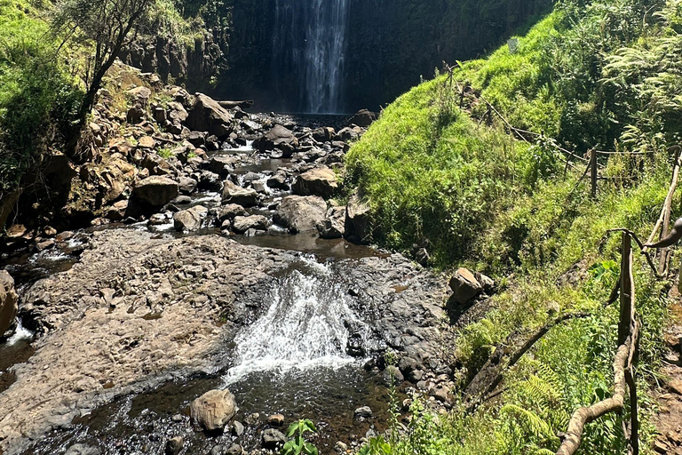 Moshi/Arusha: Chemka Hot Springs Materuni Waterfall Day tour 2 in 1 : Materuni & Chemka tour from Moshi