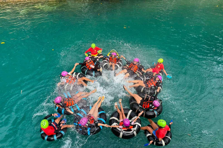 From Boracay: Whale Shark Experience with Free Transfers Libertad Whale Shark Experience (Join-in)