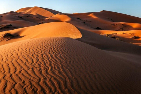 Vanuit Agadir / Taghazout : Timlalin Duinen Woestijn Zonsondergang Tour