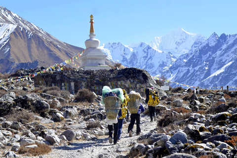 Pokhara: 6-dagars Langtang Trek6-dagars Langtang Trek Fullt paket