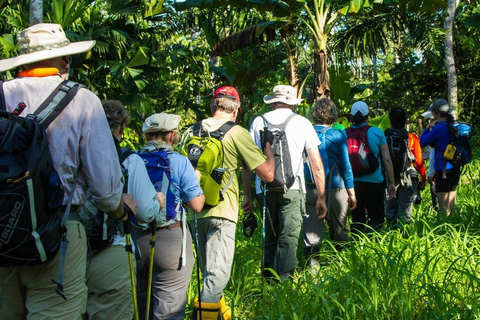 Z Puerto Maldonado || Trekking przez dżunglę + Jezioro Sandoval ||