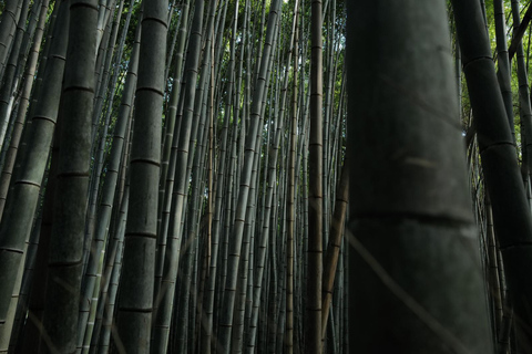 Kyoto : Visite guidée matinale avec guide anglophone